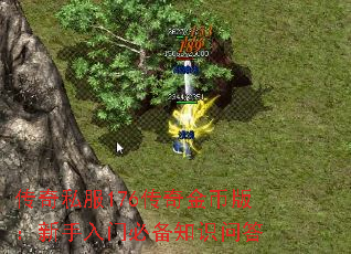 传奇私服176传奇金币版：新手入门必备知识问答