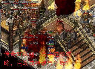 传奇SF私服：高手进阶攻略，百战成神谁与争锋？