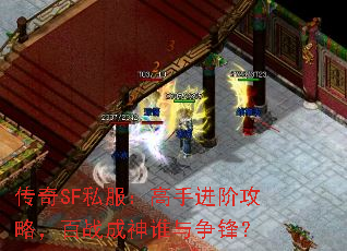 传奇SF私服：高手进阶攻略，百战成神谁与争锋？