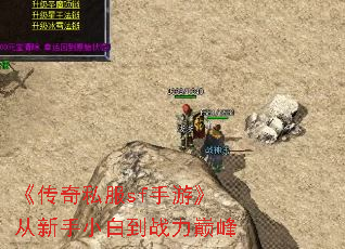 《传奇私服sf手游》从新手小白到战力巅峰