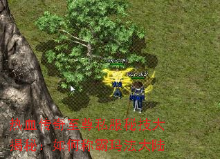 热血传奇至尊私服秘技大揭秘：如何称霸玛法大陆