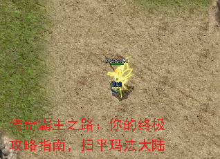 传奇霸主之路：你的终极攻略指南，扫平玛法大陆
