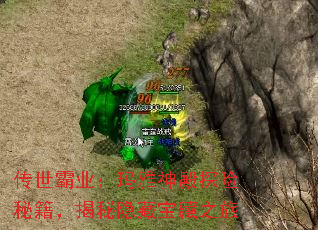 传世霸业：玛雅神殿探险秘籍，揭秘隐藏宝藏之旅