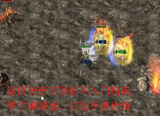 纵横传奇手游新手入门指南：等你来解惑，打造不败传奇