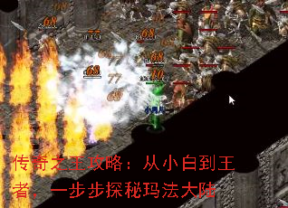 传奇之王攻略：从小白到王者，一步步探秘玛法大陆