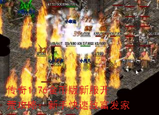 传奇1.76金币版新服开荒攻略：新手快速致富发家