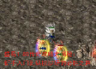 盛易1.80传奇攻略大揭秘：新手入门到纵横沙场的必胜之路