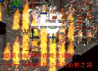 盛易1.80传奇攻略大揭秘：新手入门到纵横沙场的必胜之路